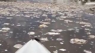 Sharjah, UAE. After the heavy rain that causes flood in many cities of the country.