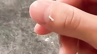 Funny videos