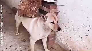 هكذا نعيش في زمن الأغنياء