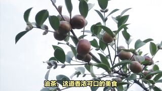 Camellia oleifera is a special delicacy of which place?