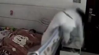 ناري شنو وقع ليه????