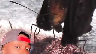 Why Butterflies are NOT your Friend (but some sharks are)