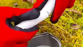 في طبيعة روووعه ❤️