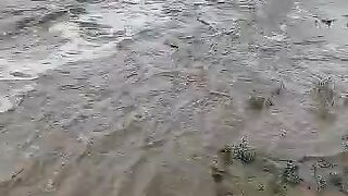 Floods sweeping Saudi Arabia