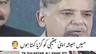 New funny video nawaz sharif and shahbaz 2024