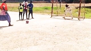 Funny video