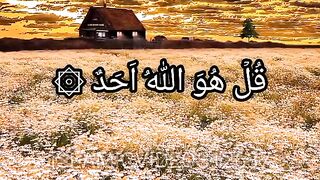 subhan Allah