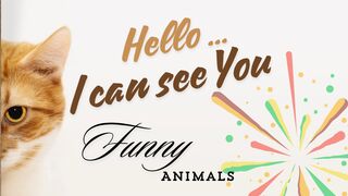 You can't stop laughing ???????????? This funniest Pet Animal