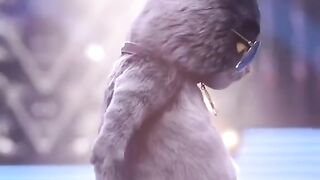 Cat dance