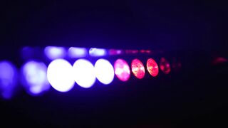 Blue and red lights from a police car - adalinetv