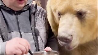 Love animals