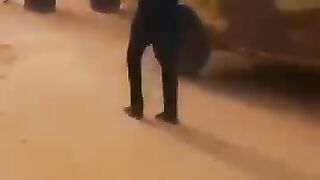 قالك لكريسون عندهم