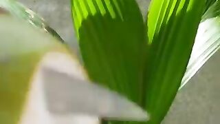 Coconut cutting