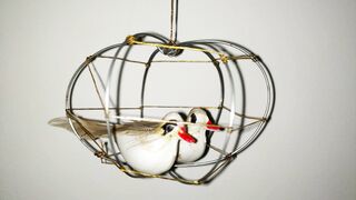 Decoration