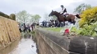 The perfection of the horse
