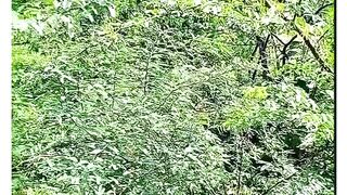 Home town video