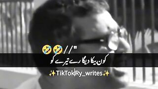 All the best funny video 2024