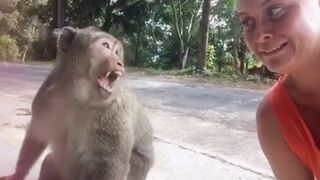 Damn Nature You Crazy  Insane Animal Fails