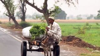 Beautiful village