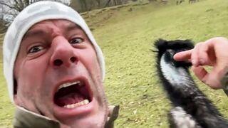 Funniest Fails Of The Week