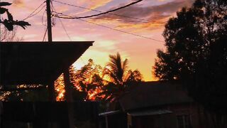 Motivasi