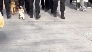 When you lie on your resumé but get the job anyway
