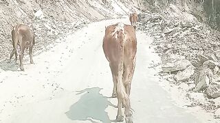 Village road in Sikkim