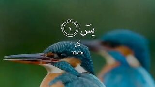 Al Quarn Beautiful ❤❤❤❤❤❤❤