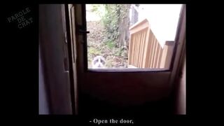 OUVRE-MOI - PAROLE DE CHAT
