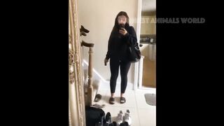 New Funny Animals ???? Funniest Cats and Dogs Videos ????????2024