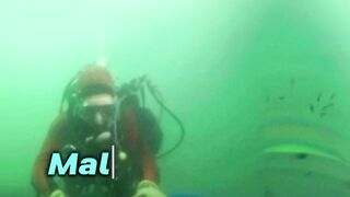 Malaysia has a sea with the greatest treasures