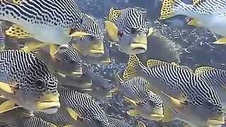 Under water