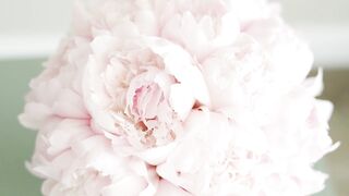 "Unforgettable Journey: Our Wedding Chronicle"