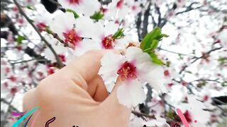 Urdu Quotes/Urdu poetry