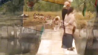 Funniest Cats And Dogs Videos ???? Best Funny Animal Videos 2024