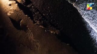 Ishq murshid ep 4
