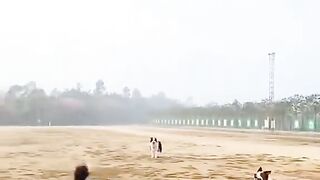 Dogs ???? Funny clips ????????????〽️ #doge #funny #clip #trending #sound #viral #fyp #fypシ #fypシ゚viral #3mintikt