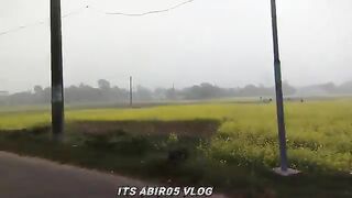 সরিষা ফুল
