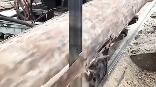 I don't get why this thing needs somebody to ride it