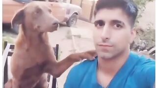 ...and they say dogs don't know how to communicate