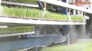China's Unbelievable Farming Transformation Through Innovation.