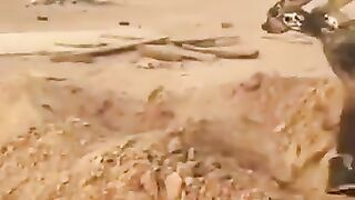 What is this thing? غريب