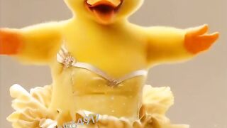 duck dans