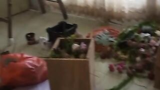 HAFSHEL  decor