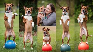 How Teaching My Dog These Tricks Transformed Our Bond Our Amazing Journey!