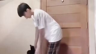 Animals are human's friends❤