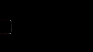 animal video