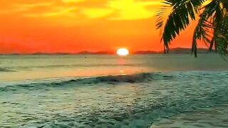 "Golden Splendor: A Breathtaking Sunset Vista"