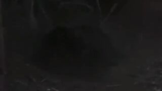 Nature life