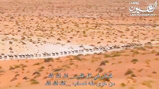 فليكن في كل قلب الله